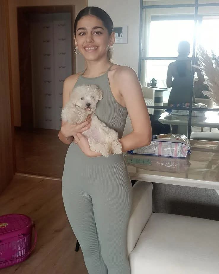 Happy Doggiewale family moment