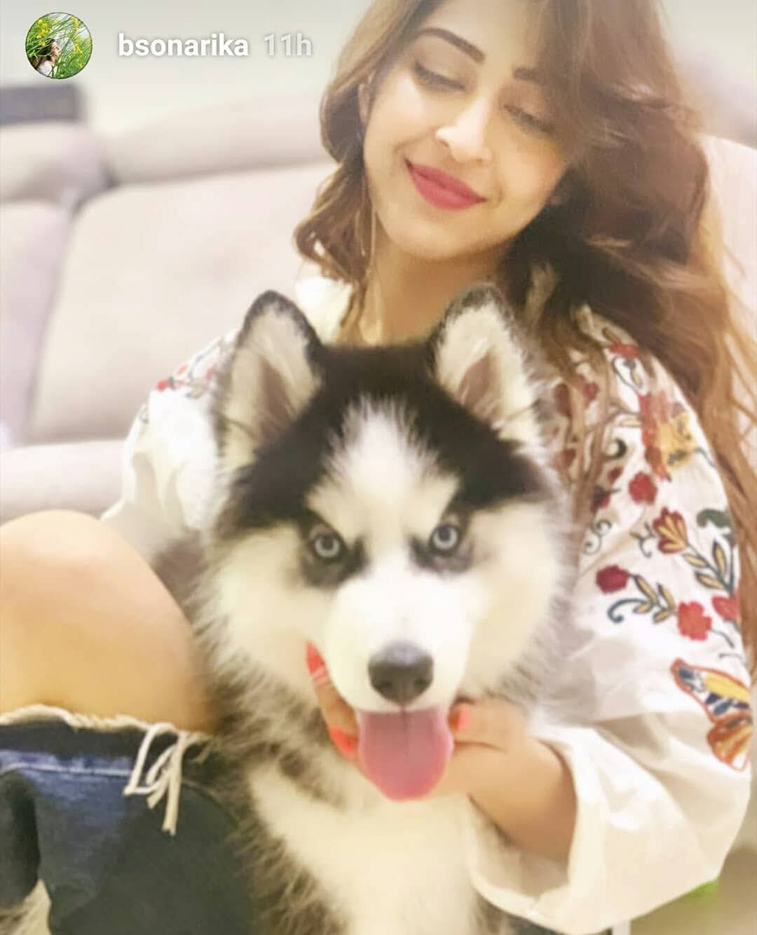 Happy Doggiewale family moment