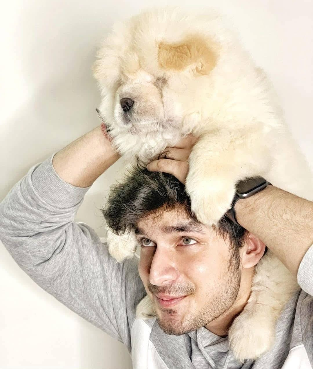 Happy Doggiewale family moment